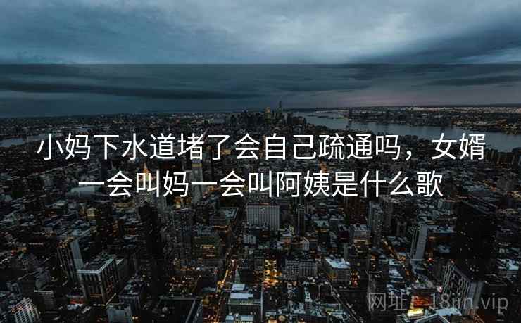 小妈下水道堵了会自己疏通吗，女婿一会叫妈一会叫阿姨是什么歌