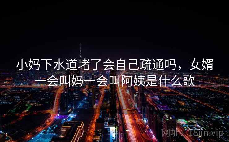 小妈下水道堵了会自己疏通吗，女婿一会叫妈一会叫阿姨是什么歌